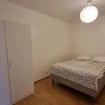Casa 48 להטי